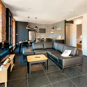 Les Lofts St-vallier By Les Lofts Vieux Appartement